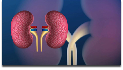 Cost Clarity: Understanding Rft Test Prices And Factors Influencing Them